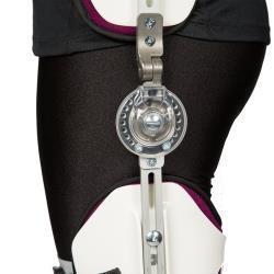 Hip Control System
